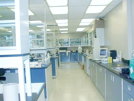 微生物实验室4